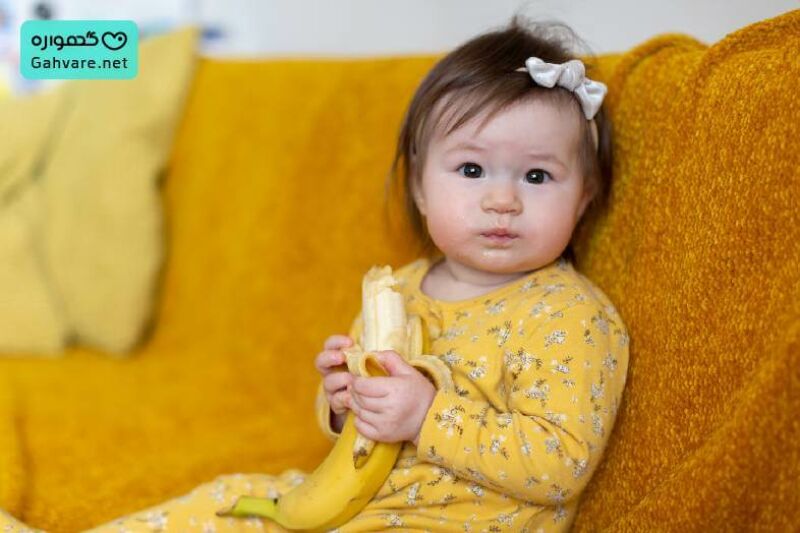 جدول ارزش غذایی موز برای نوزاد