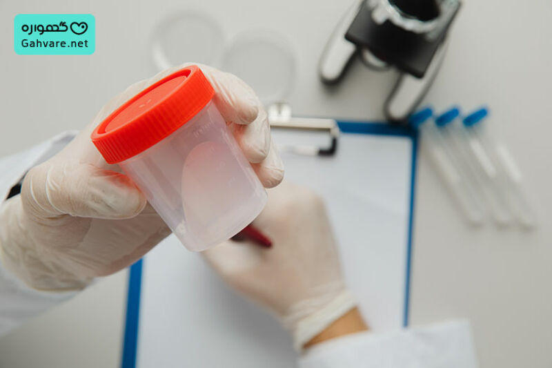 آزمایش های هفته یازدهم بارداری