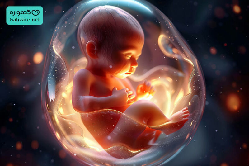 جنین در هفته چهاردهم بارداری