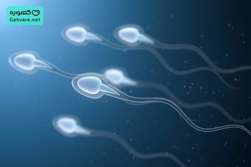 زنده ماندن اسپرم منجمد و آزمایشگاهی