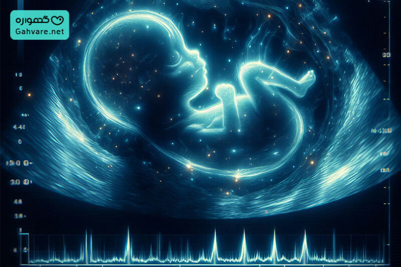 تغییرات جنین در هفته 18 بارداری