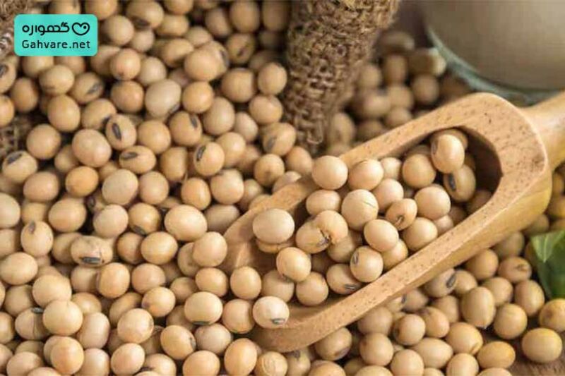 سویا در بارداری