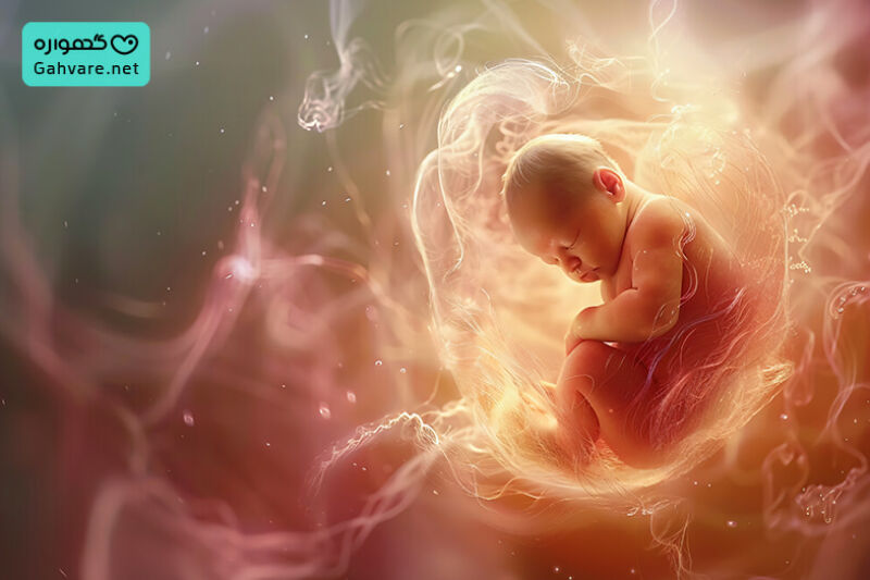 تغییرات جنین در هفته 23 بارداری