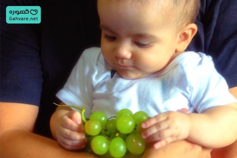 یک بچه با خوشه انگور
