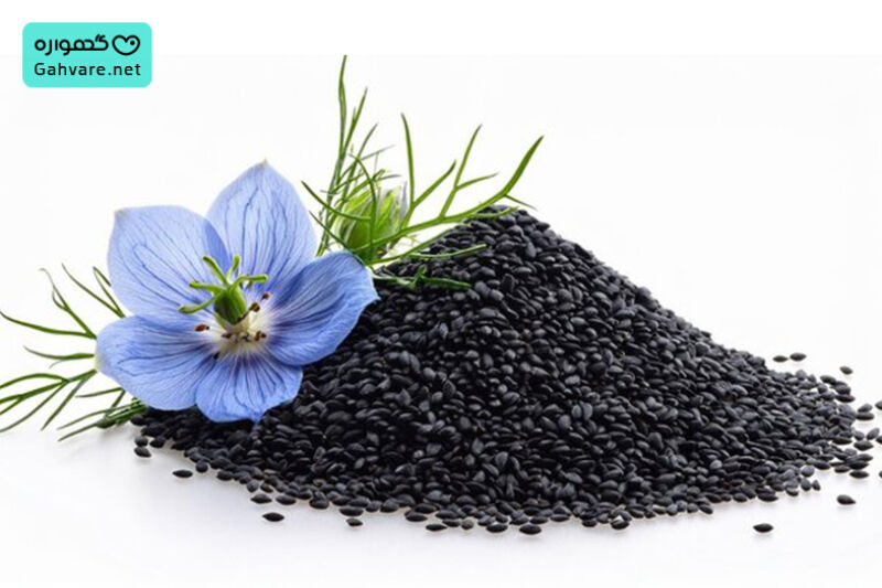 روغن سیاه دانه برای کمر درد در بارداری