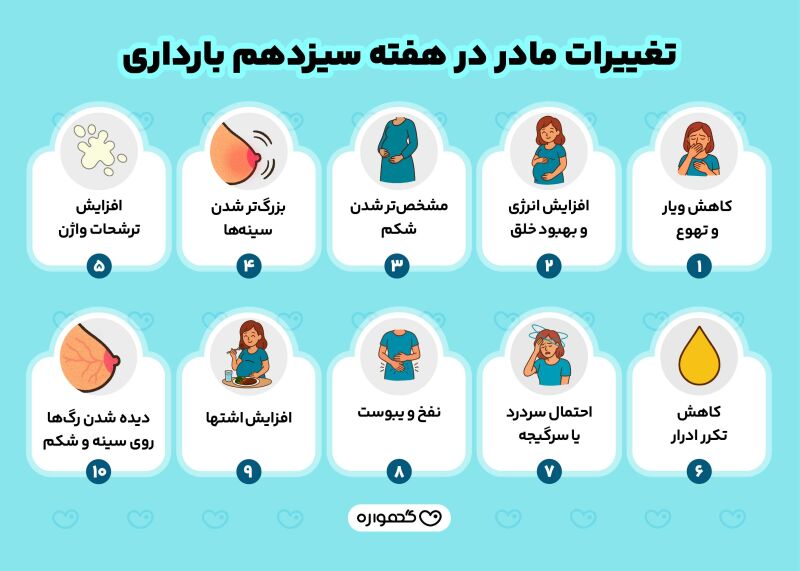 تغییرات مادر در هفته سیزدهم بارداری