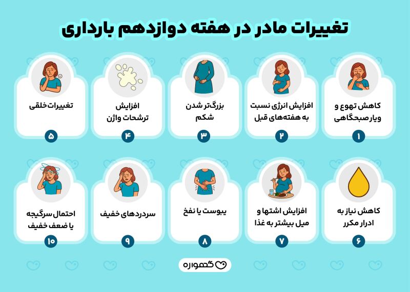 تغییرات مادر در هفته دوازدهم بارداری