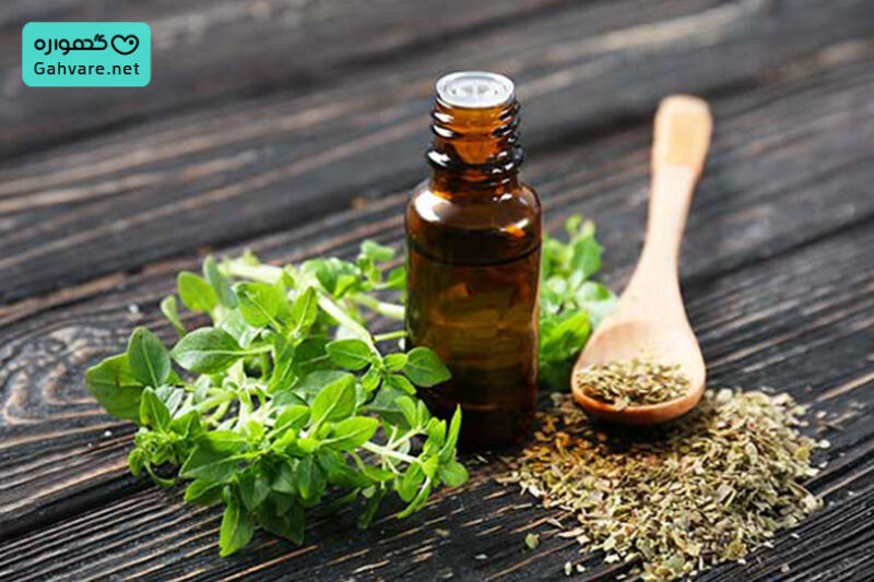 آیا پونه باعث سقط جنین میشود؟