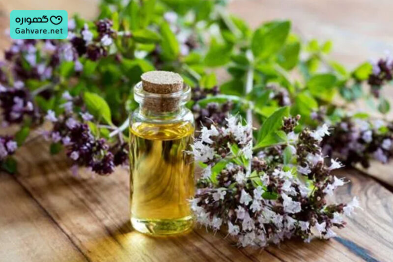 روغن پونه در بارداری چه عوارضی دارد؟