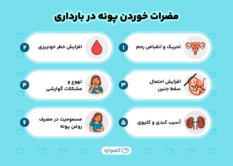 مضرات پونه در بارداری