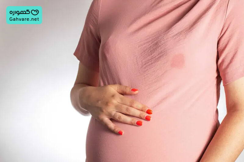 پستان ها چه زمانی شروع به تولید شیر می&zwnj;کنند؟