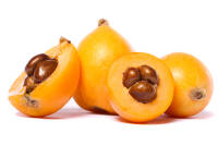 ازگیل در بارداری
