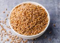 حساسیت به گندم در شیرخواران