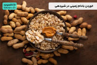 بادام زمینی در شیردهی