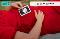 هفته سیزدهم بارداری