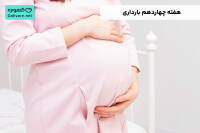 هفته چهاردهم بارداری