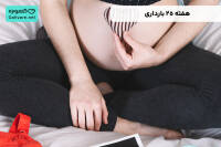 هفته ۲۵ بارداری