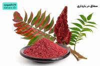 سماق در بارداری