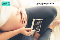 هفته شانزدهم بارداری