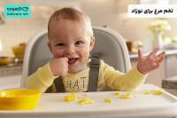 تخم مرغ برای نوزاد