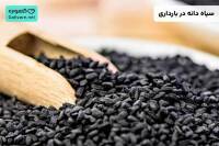 سیاه دانه در بارداری