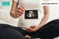 سه ماهه دوم بارداری