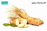تاثیر جینسینگ بر باروری