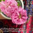 آواتار مامان پارسا