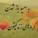 نازنین زهرا