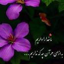 آواتار زهرا