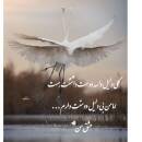 آواتار farzaneh